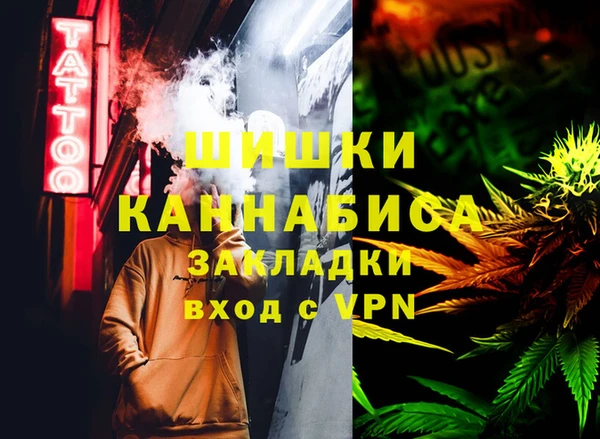 индика Алзамай
