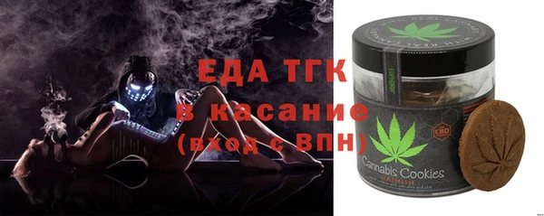 индика Алзамай