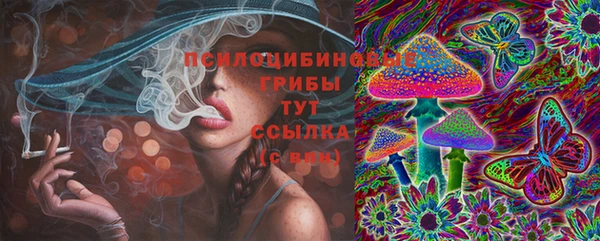 индика Алзамай