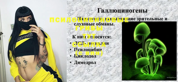 индика Алзамай
