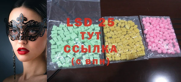 индика Алзамай